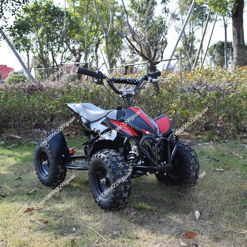 Mini moto 49cc a 2 tempi, mini - Kids Outdoor Quad Bike recensione e prezzo