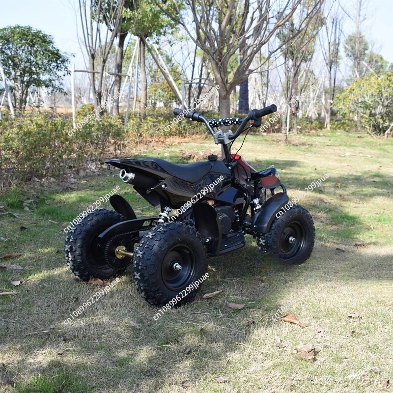 Mini moto 49cc a 2 tempi, mini - Kids Outdoor Quad Bike recensione e prezzo
