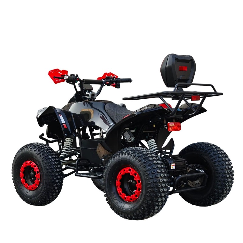Quad ATV Elettrico con Trasmis - Kids Outdoor Quad Bike recensione e prezzo