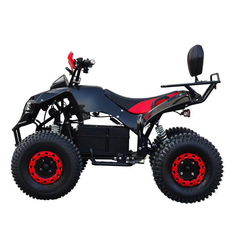 Quad ATV Elettrico con Trasmis - Kids Outdoor Quad Bike recensione e prezzo