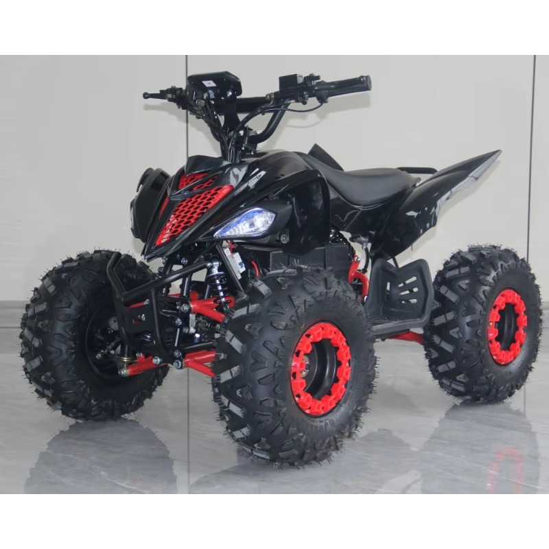 ATV Elettrico per Bambini 48V  - Kids Outdoor Quad Bike recensione e prezzo