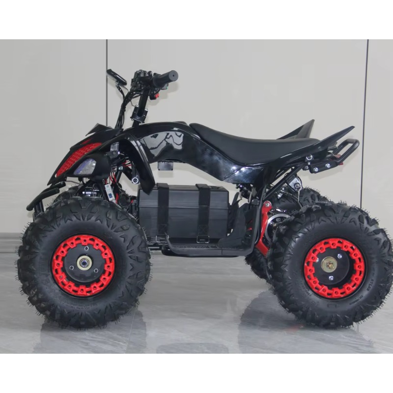 ATV Elettrico per Bambini 48V  - Kids Outdoor Quad Bike recensione e prezzo