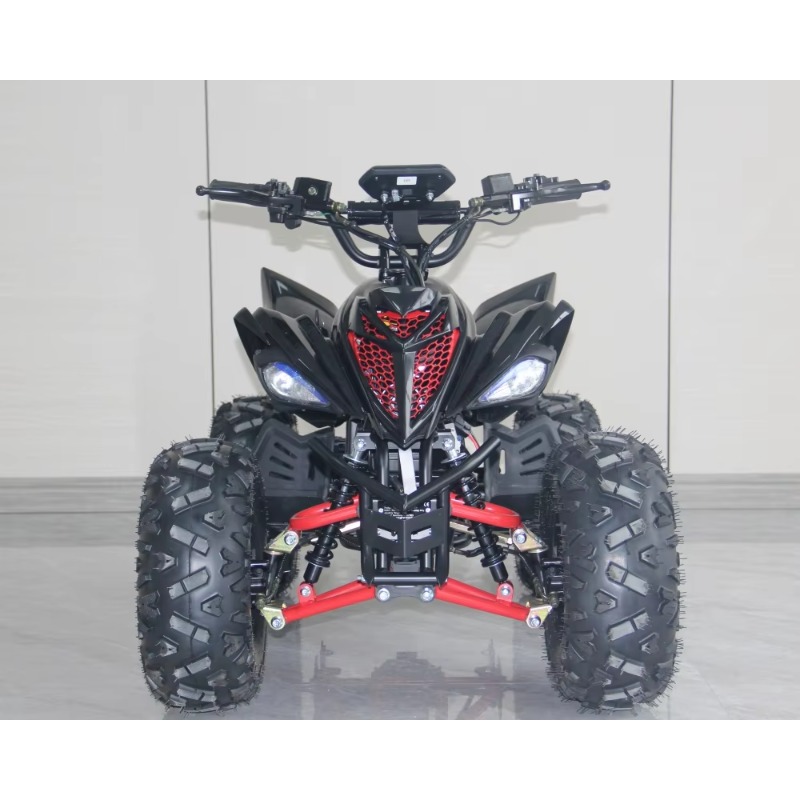 ATV Elettrico per Bambini 48V  - Kids Outdoor Quad Bike recensione e prezzo